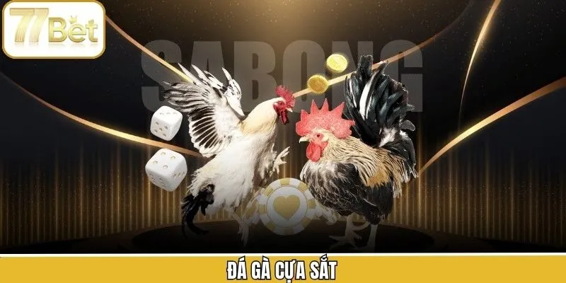 Đá Gà Cựa Sắt - Nhịp Đấu Gay Cấn Chỉ Có Tại Điểm Đến 77Bet