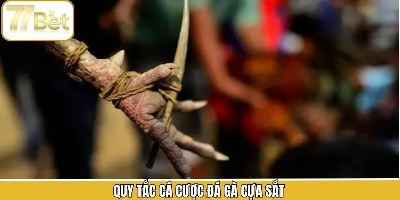 Quy luật quan trọng nên bỏ túi trong đá gà cựa sắt